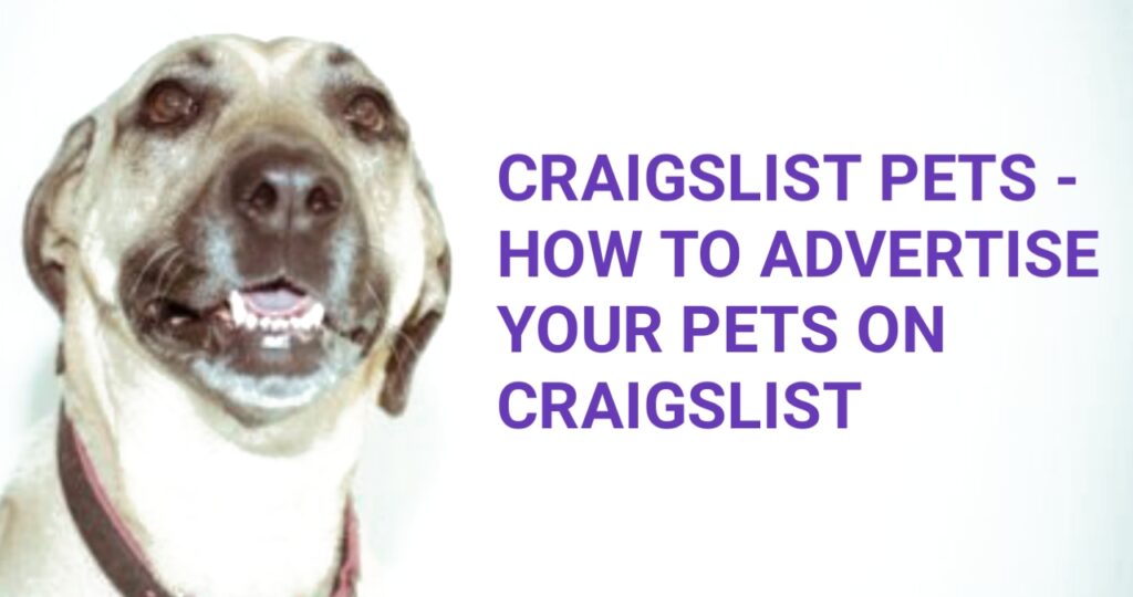 Craigslist Pets - How to Advertise Your Pets on Craigslist