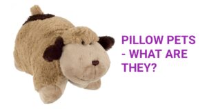Pillow Pets - What Are They?