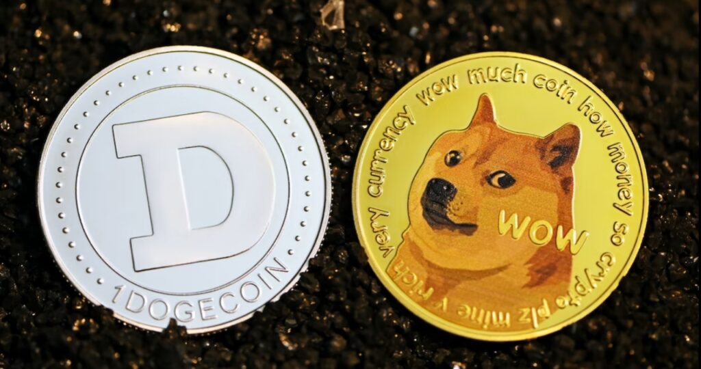 Should You Invest in Dogecoin?